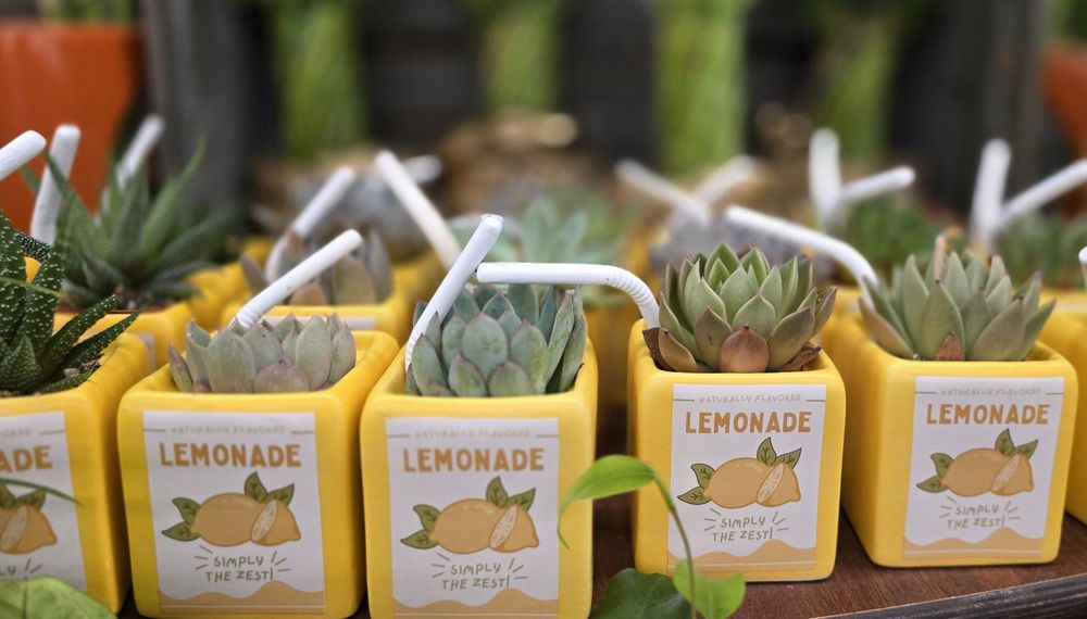 Safeway South San Francisco