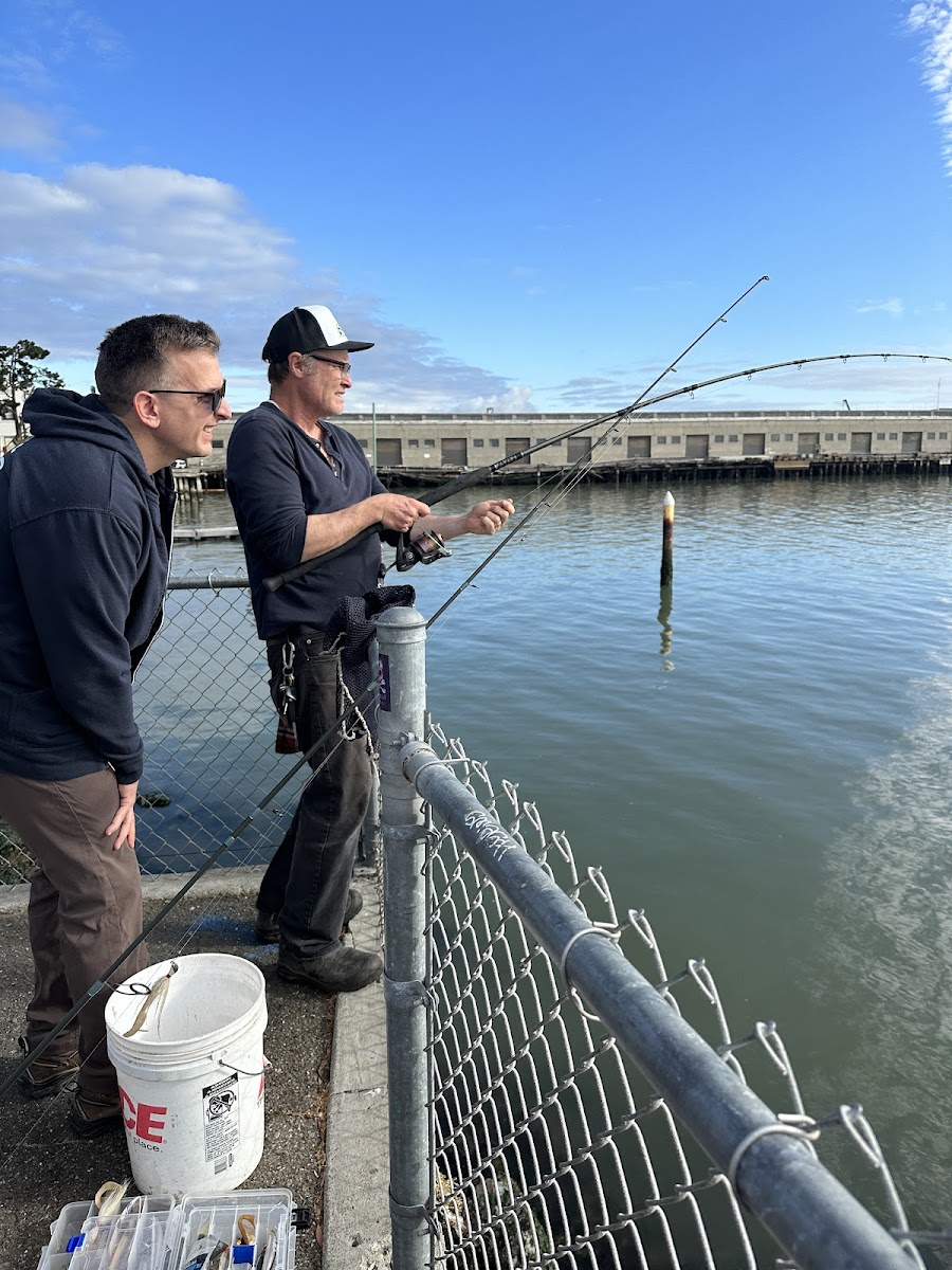 Sea Forager Seafood & Tours