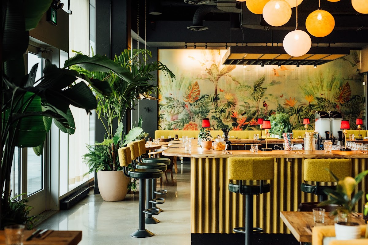 Slide Background Image