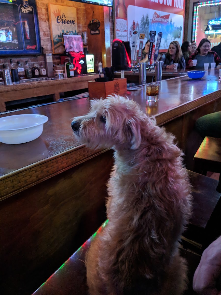 Slide Background Image