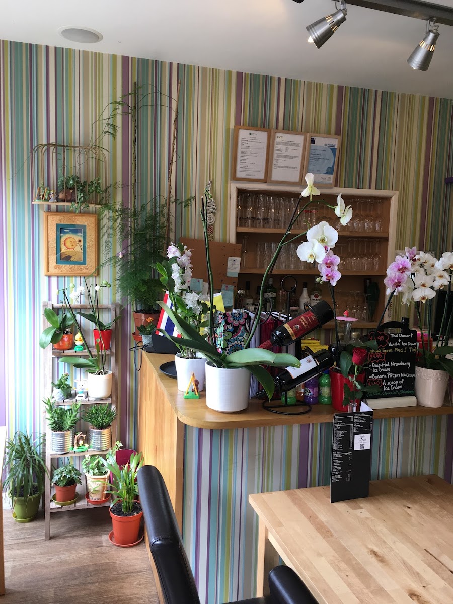 Slide Background Image