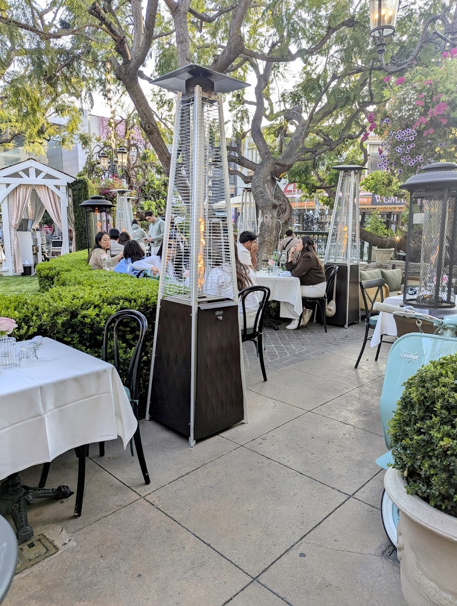 Slide Background Image