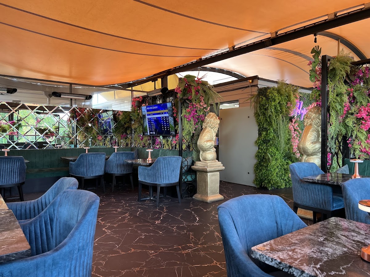 Slide Background Image