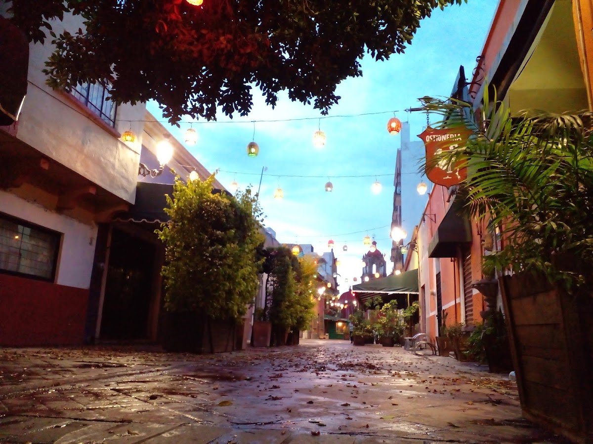 Slide Background Image