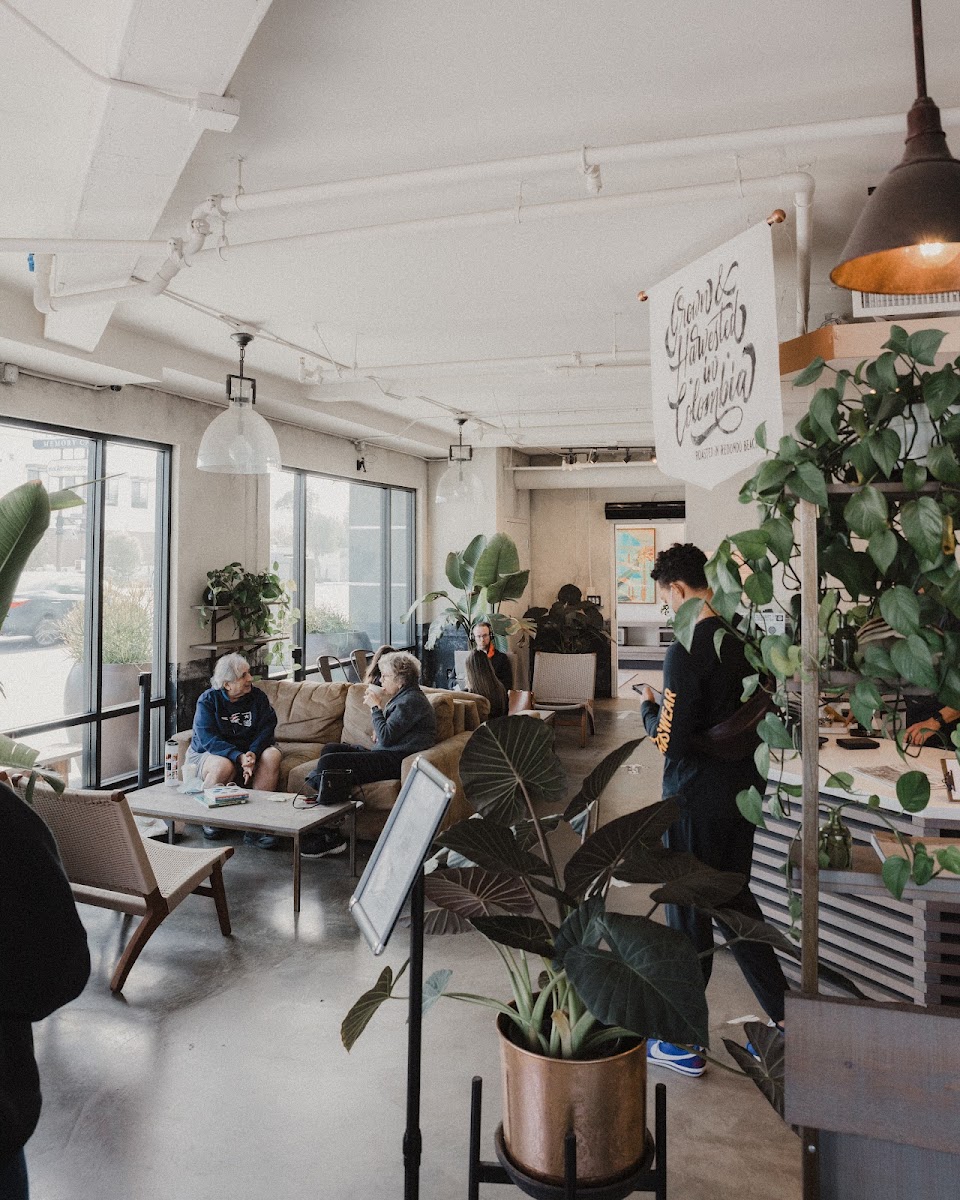 The Boy & The Bear - Coffee Roastery - Westchester