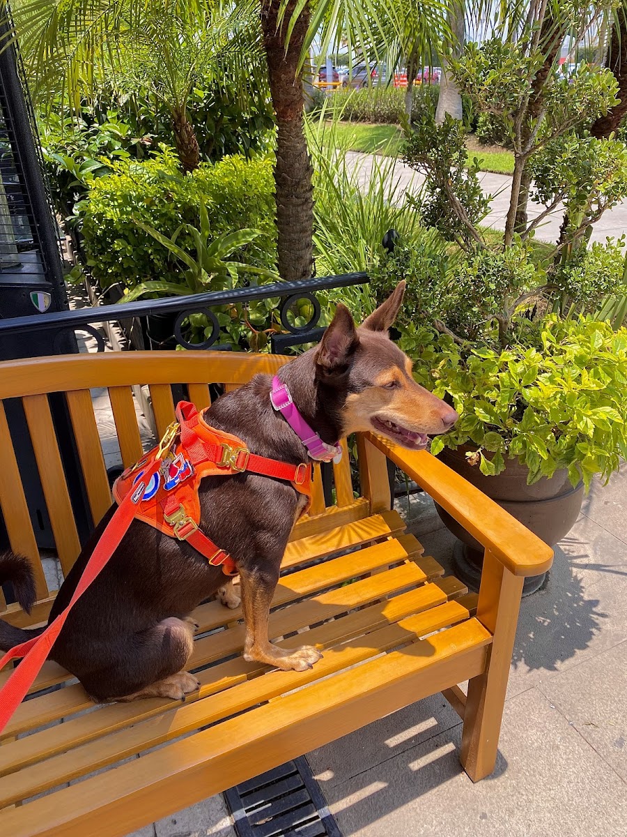 Slide Background Image