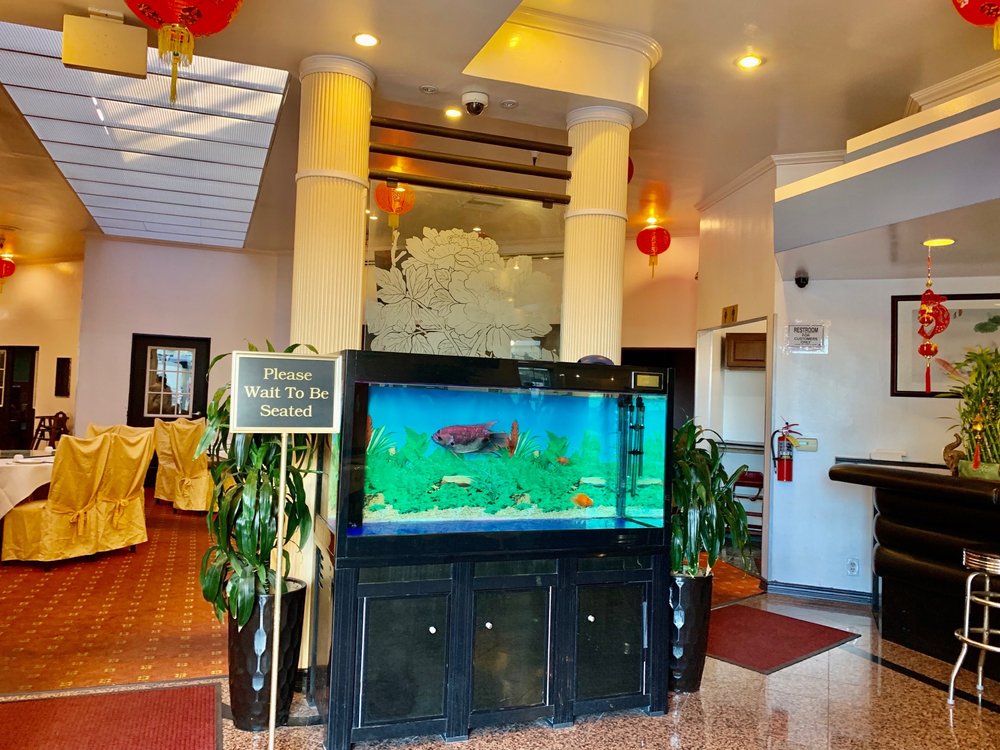 The Palace Seafood & Dim Sum