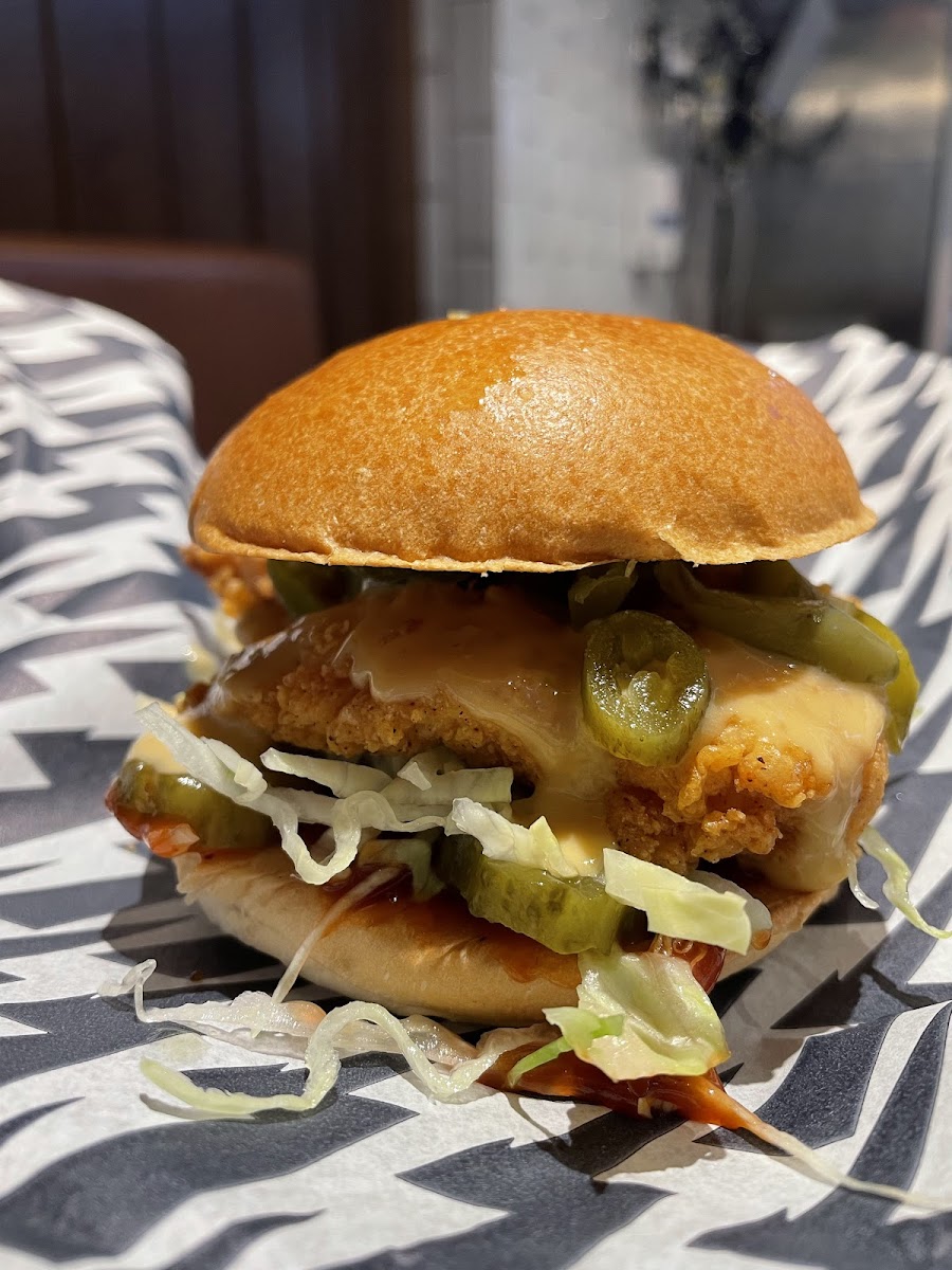 Slide Background Image