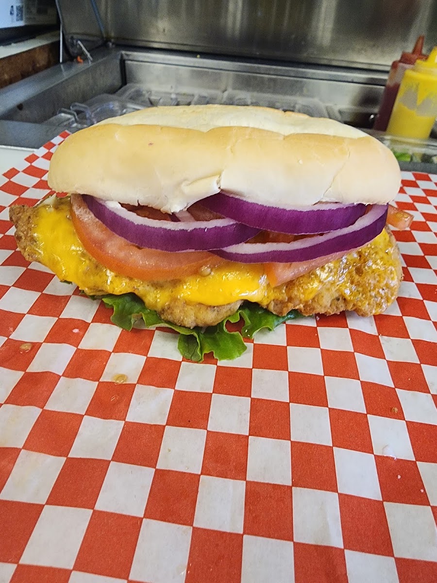 Slide Background Image