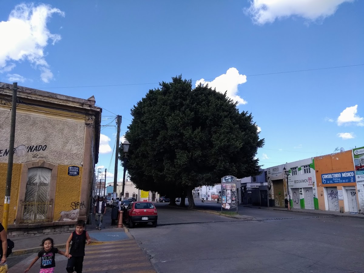 Slide Background Image