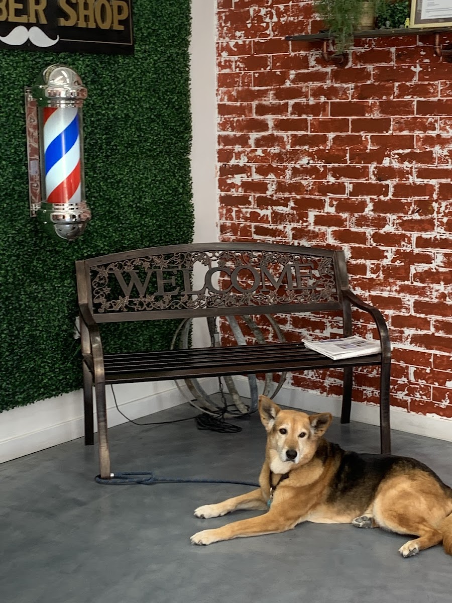 Slide Background Image