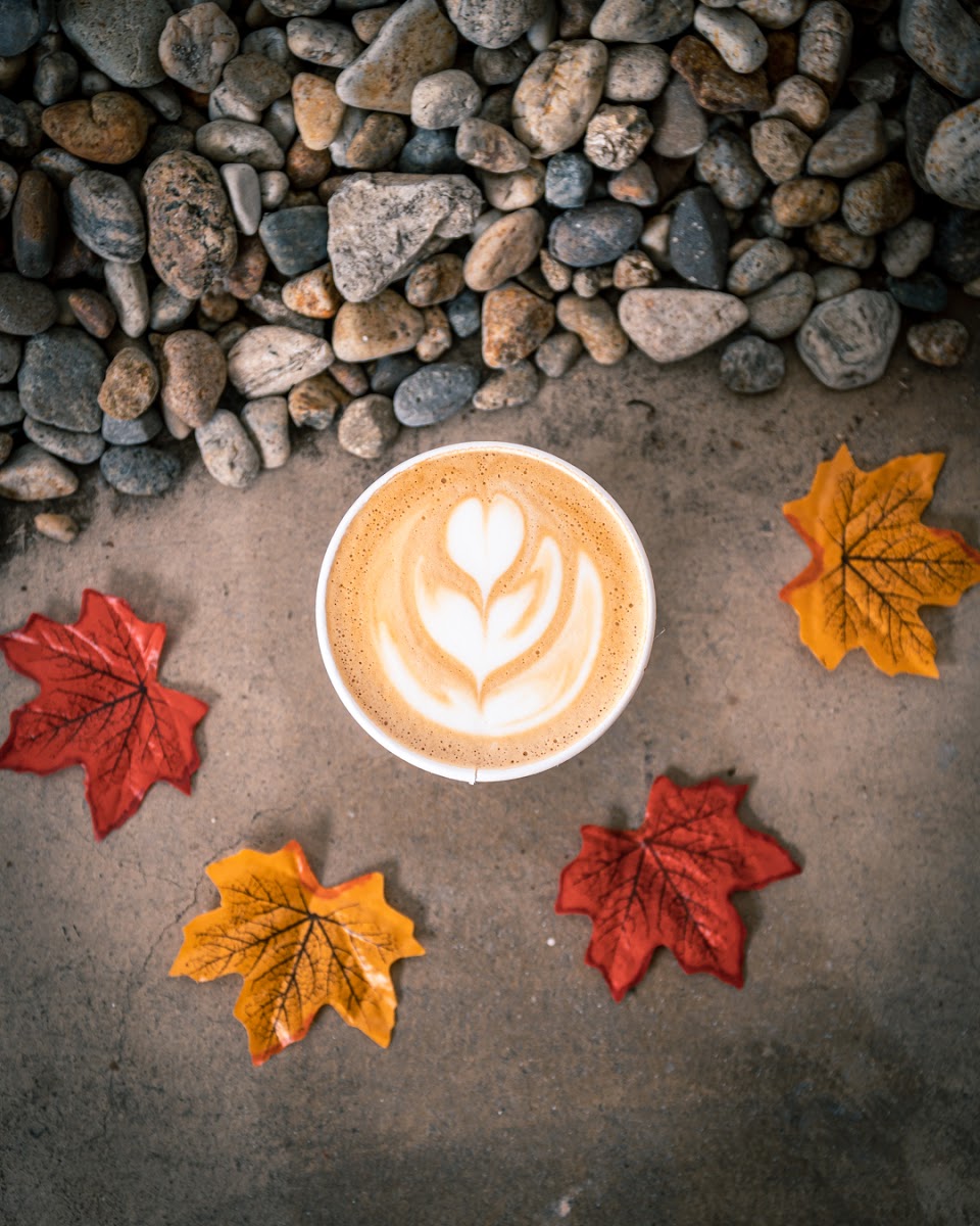 White Sparrow Coffee